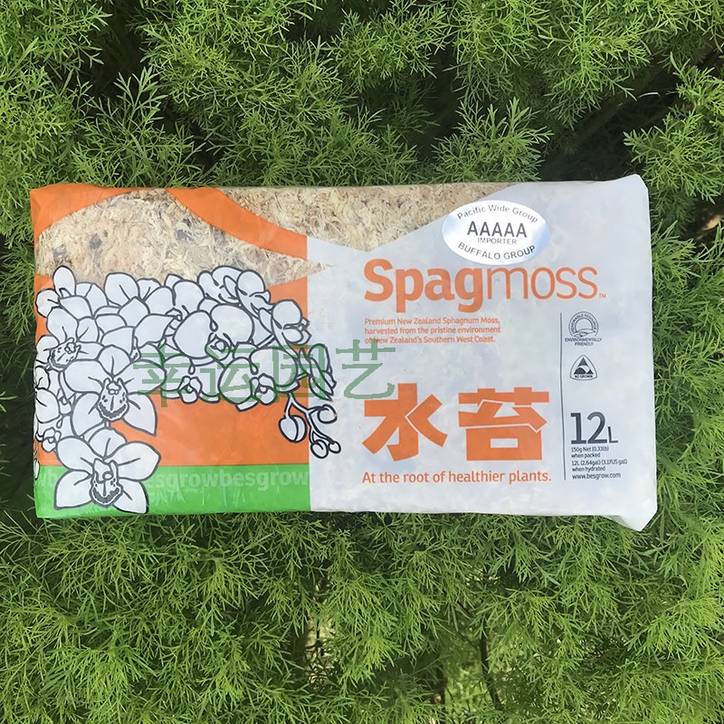 Neuseeländisches 5A-Sphagnummo – Preserved Moss Sheet Bewertung und Preis